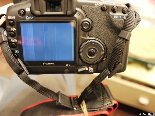 剛買的5D2送修經驗談(右上方上置液晶進塵、LCD雜訊、電池問題)