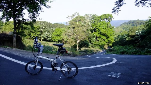 苗栗 三義 銅鑼 油桐花騎跡 (圖多)