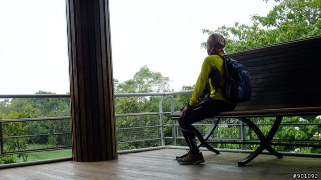 苗栗 三義 銅鑼 油桐花騎跡 (圖多)