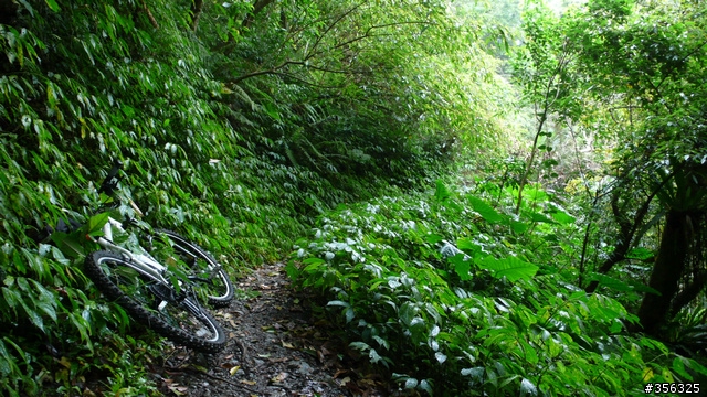 [遊記] 烏來雨中單車越野樂....卡拉莫基步道+哈盆越嶺古道(半程)