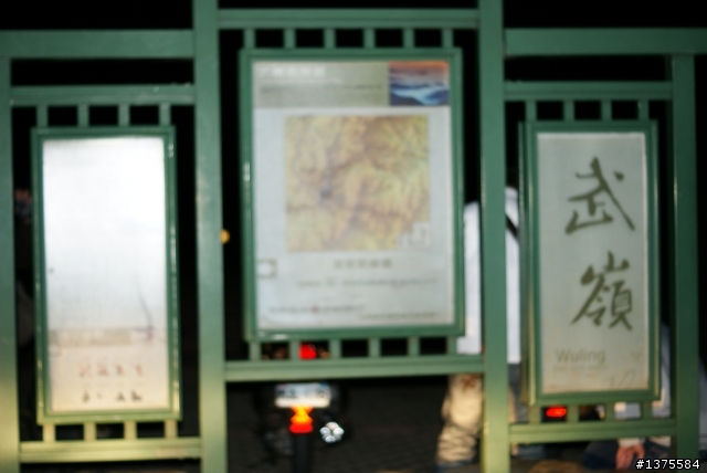 MY ALTO 夜衝合歡山