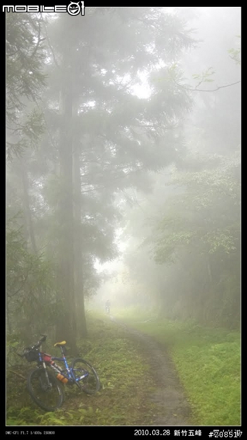 羅山林道
