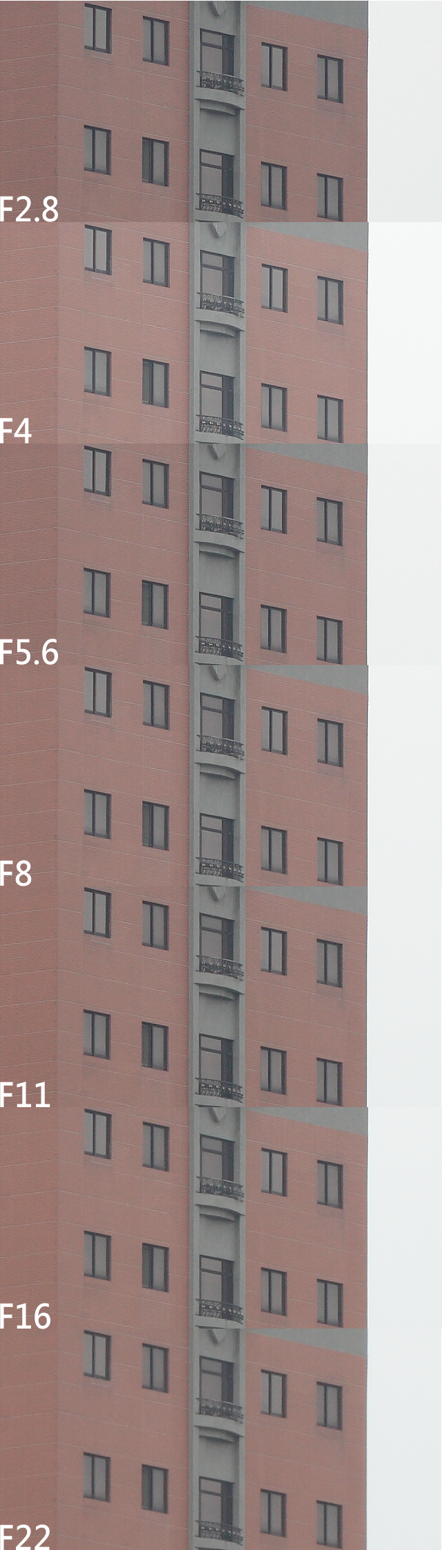 LEICA R 100mm F2.8 macro ROM 無敵兔測試...