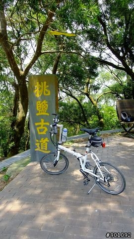 苗栗 三義 銅鑼 油桐花騎跡 (圖多)