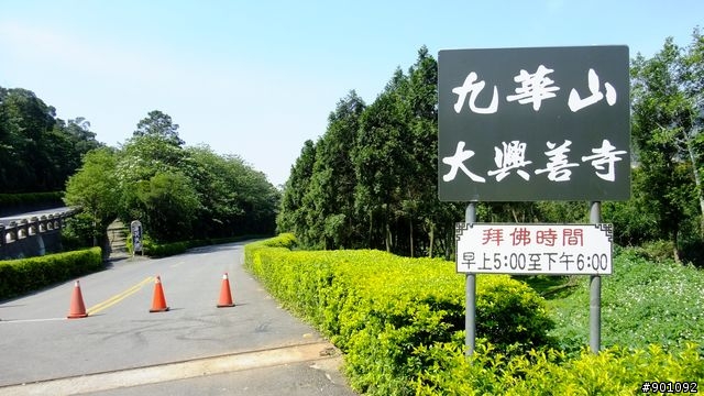 苗栗 三義 銅鑼 油桐花騎跡 (圖多)
