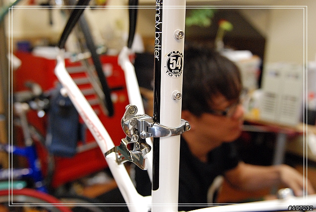 [組裝記實] 舊瓶新裝之09 FUJI ROUBAIX PRO