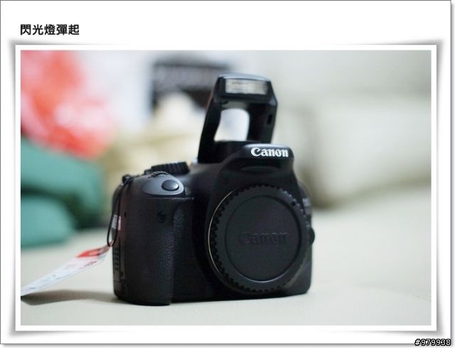哇哈哈...我也有單眼了(CANON 550D)- 增加拍出照片4張