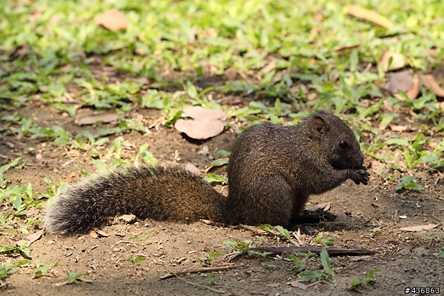 千年傳統．全新感受 ── 重新發現小小黑 EF 70-300mm F4-5.6 IS USM