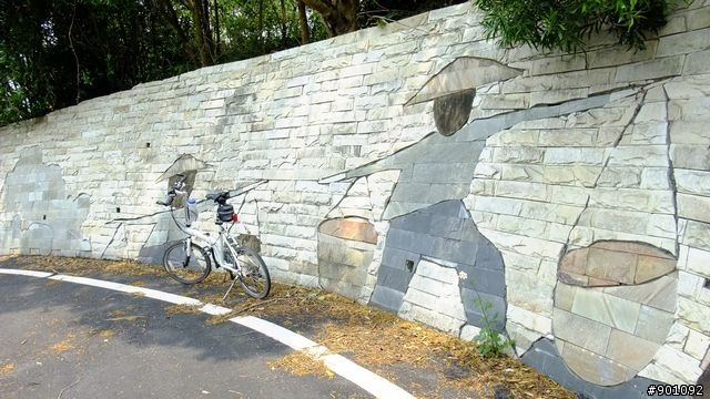 苗栗 三義 銅鑼 油桐花騎跡 (圖多)
