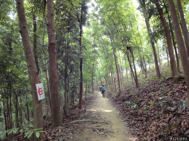 [照片分享] 新化大草原加碼紅瓦厝 亂拍分享