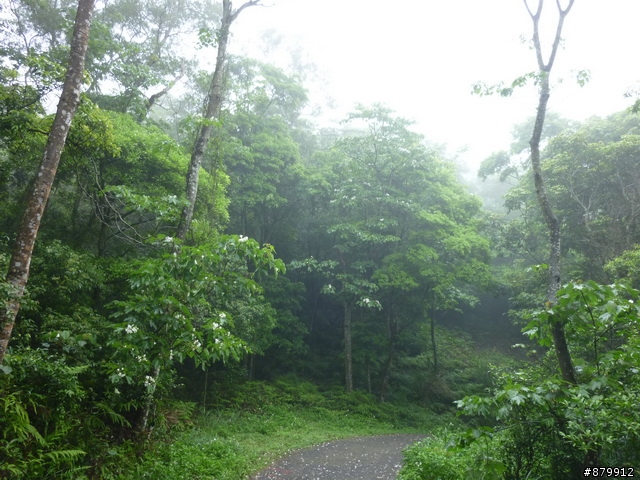 990424 小紅與我遊桐花