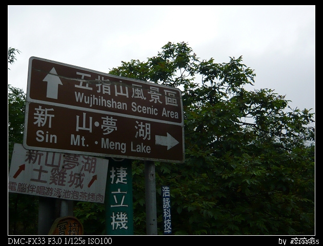 五指山滿桐花&新山夢湖