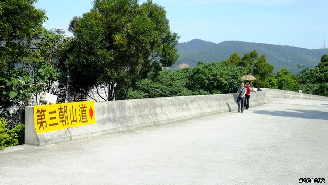 苗栗 三義 銅鑼 油桐花騎跡 (圖多)