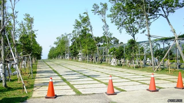 苗栗 三義 銅鑼 油桐花騎跡 (圖多)