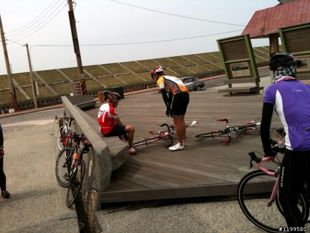 王功戲照看海去.148賞桐回家去(圖多)