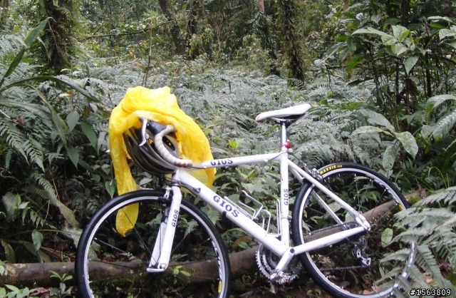 [遊記]單車哈盆越嶺----福山植物園