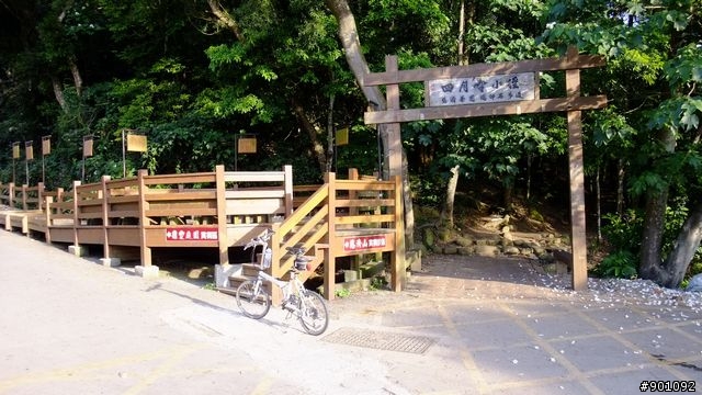 苗栗 三義 銅鑼 油桐花騎跡 (圖多)