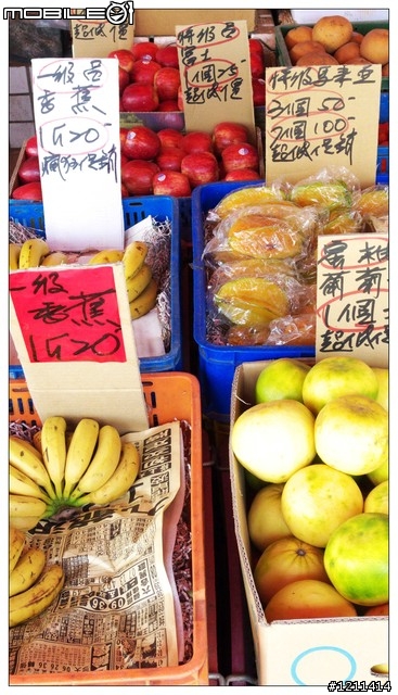 雅痞小摺環島8日，重裝上陣。