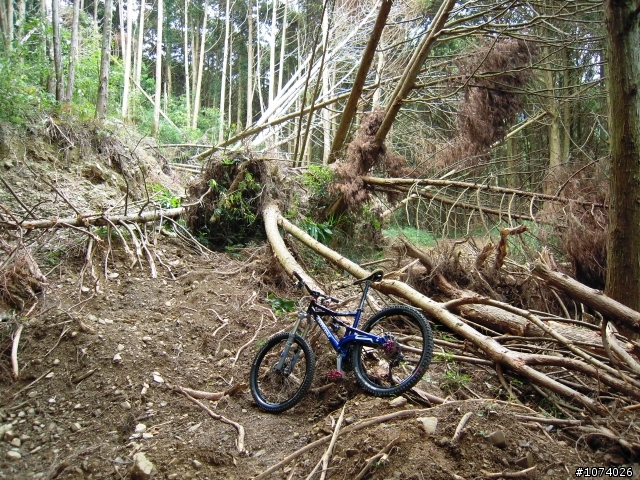 小關山林道18K後路況