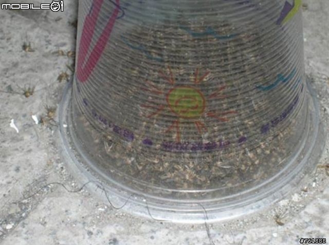 DIY排水孔環保防蚊罐