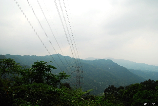 [三峽]桐花來了竹崙路+三層坪+熊空休閒農場