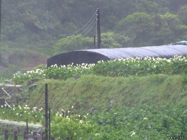 【遊記】一個人的北部慘痛之旅~~~~~~又冷又下雨又累還爆膝