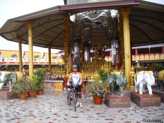 洛岬踴(巧遇大甲媽祖)之禾家牧場&四面佛