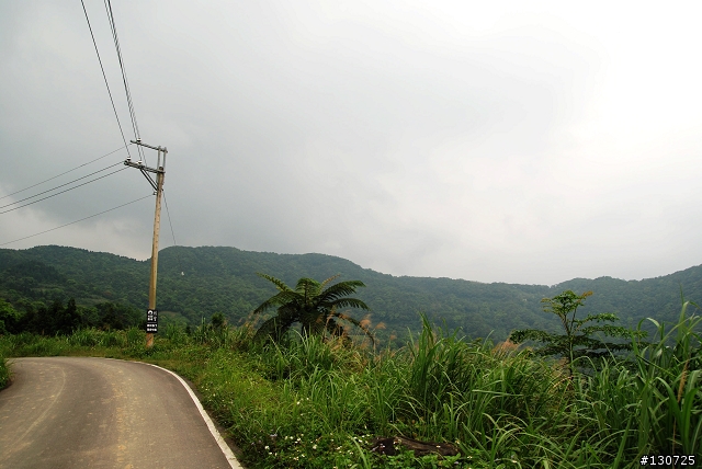 [三峽]桐花來了竹崙路+三層坪+熊空休閒農場