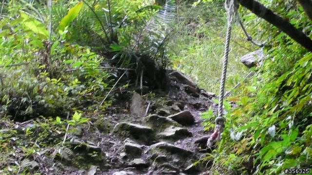 [遊記] 烏來雨中單車越野樂....卡拉莫基步道+哈盆越嶺古道(半程)