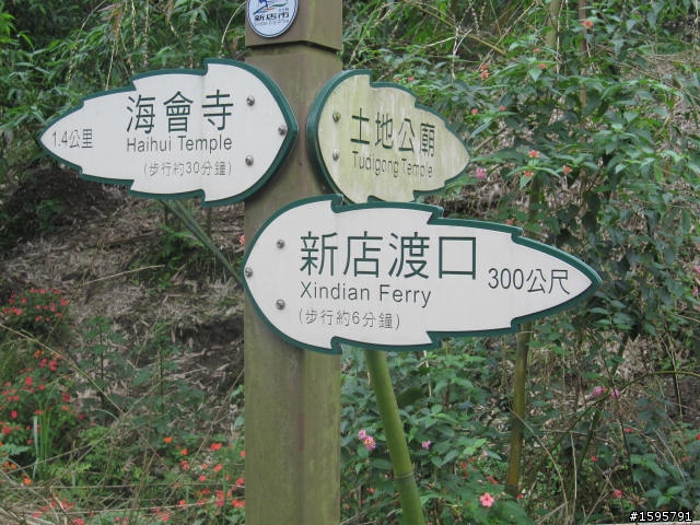 菜鳥單騎迷路記