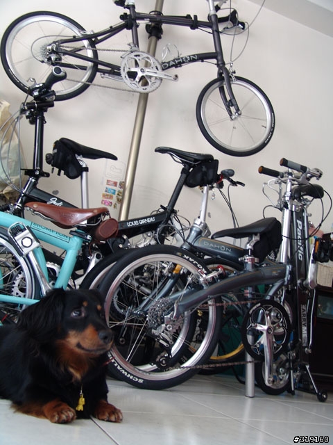慵懶、優雅、樂活的英倫時尚...BROMPTON