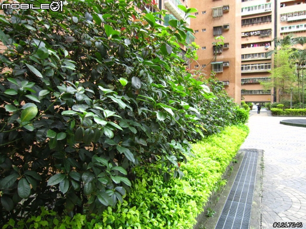 Canon IXUS 210 IS - 時尚實用的全觸控3.5吋大螢幕相機