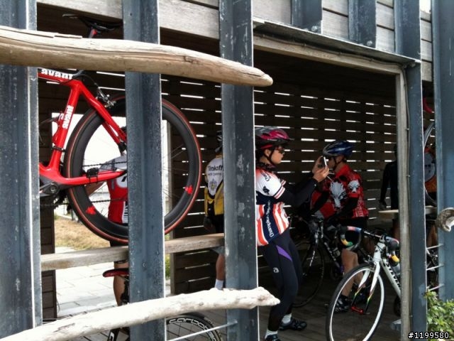 王功戲照看海去.148賞桐回家去(圖多)