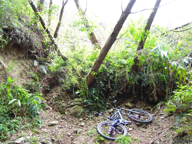 小關山林道18K後路況