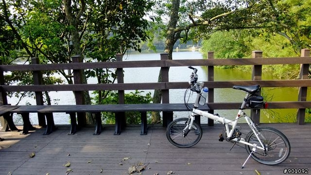 苗栗 三義 銅鑼 油桐花騎跡 (圖多)
