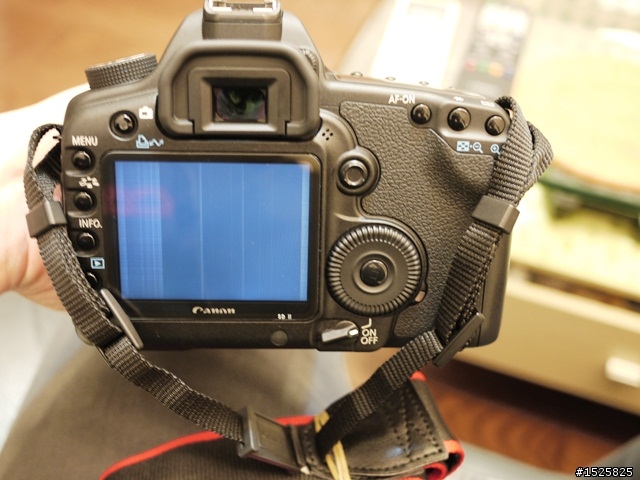 剛買的5D2送修經驗談(右上方上置液晶進塵、LCD雜訊、電池問題)
