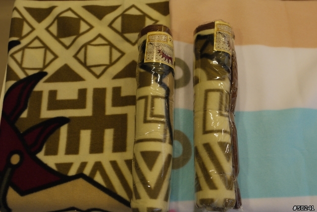 (分享)魔物獵人毛毯....是實品
