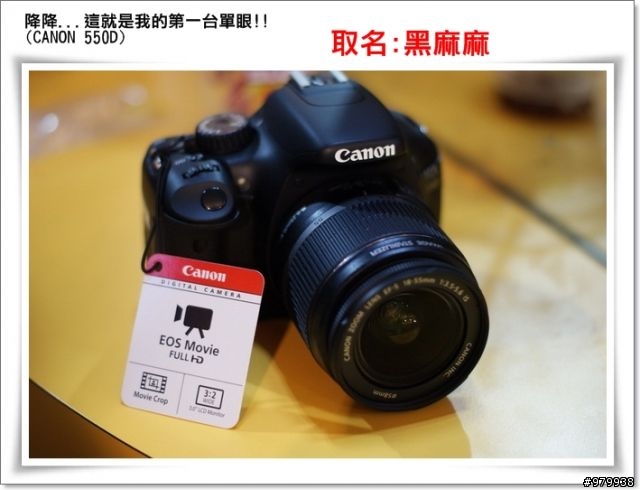 哇哈哈...我也有單眼了(CANON 550D)- 增加拍出照片4張