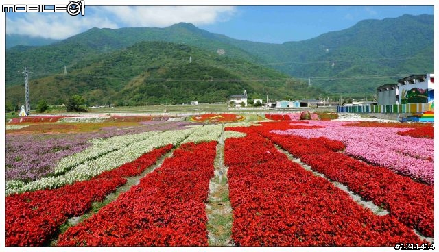 雅痞小摺環島8日，重裝上陣。