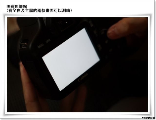 哇哈哈...我也有單眼了(CANON 550D)- 增加拍出照片4張