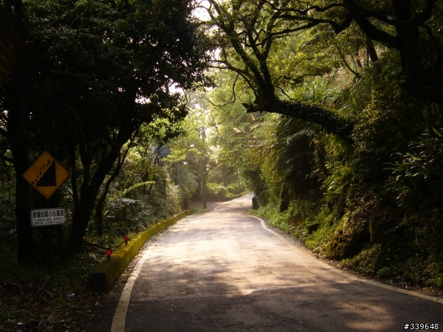 陽明山之橫嶺古道初探險
