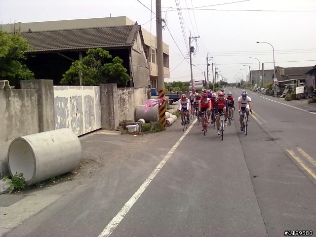 王功戲照看海去.148賞桐回家去(圖多)