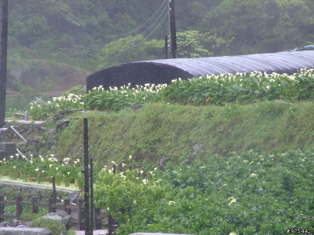 【遊記】一個人的北部慘痛之旅~~~~~~又冷又下雨又累還爆膝