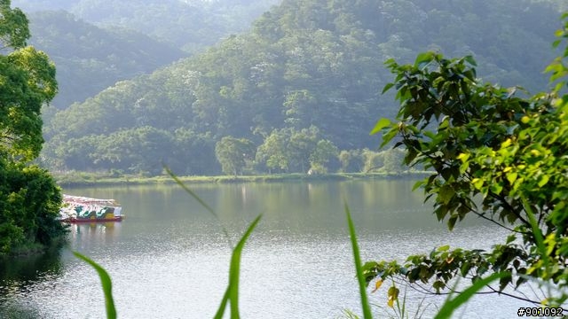 苗栗 三義 銅鑼 油桐花騎跡 (圖多)