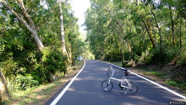 苗栗 三義 銅鑼 油桐花騎跡 (圖多)