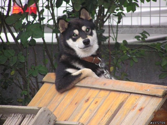情侶吵架