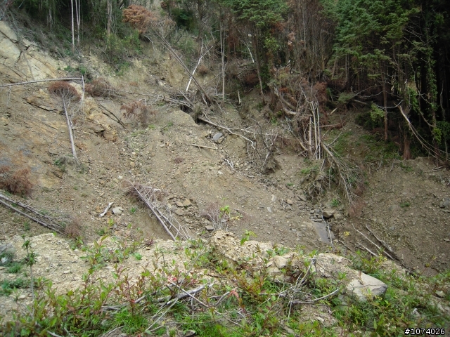 小關山林道18K後路況