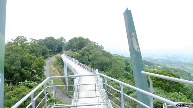 苗栗 三義 銅鑼 油桐花騎跡 (圖多)