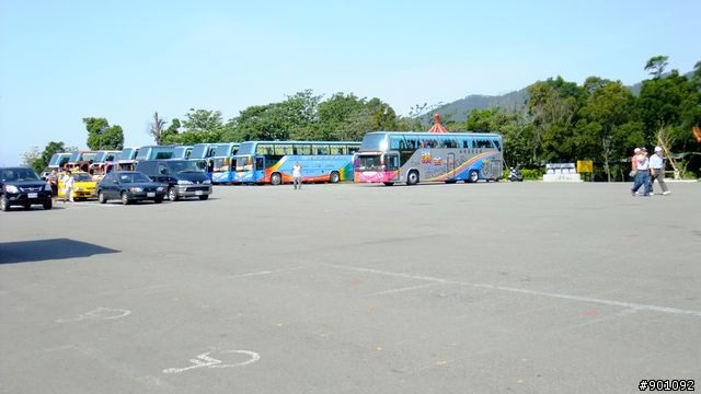 苗栗 三義 銅鑼 油桐花騎跡 (圖多)