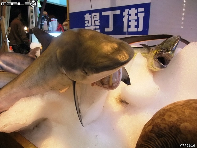 遲來的旅遊分享文  夏天墾丁3天2夜 瘋狂暴走 爽遊記